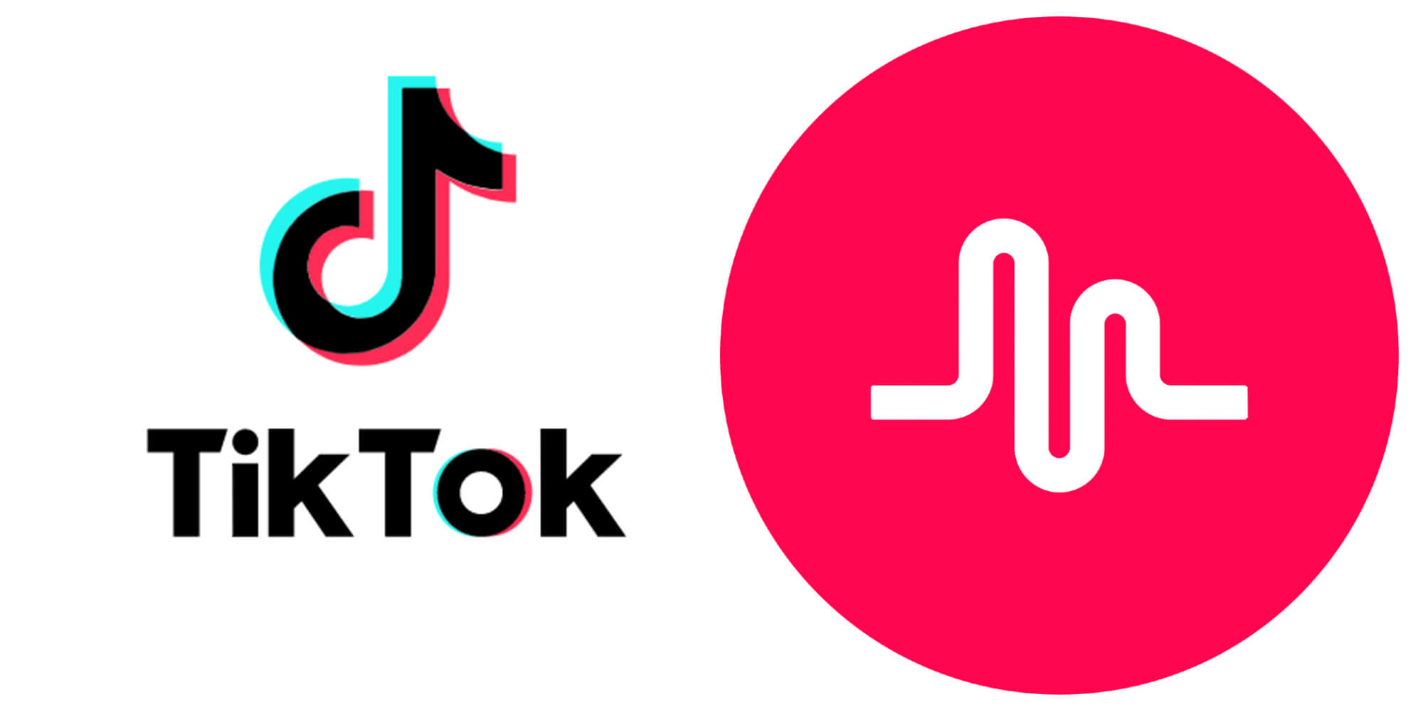 TikTok_including_Musically_cover.jpg